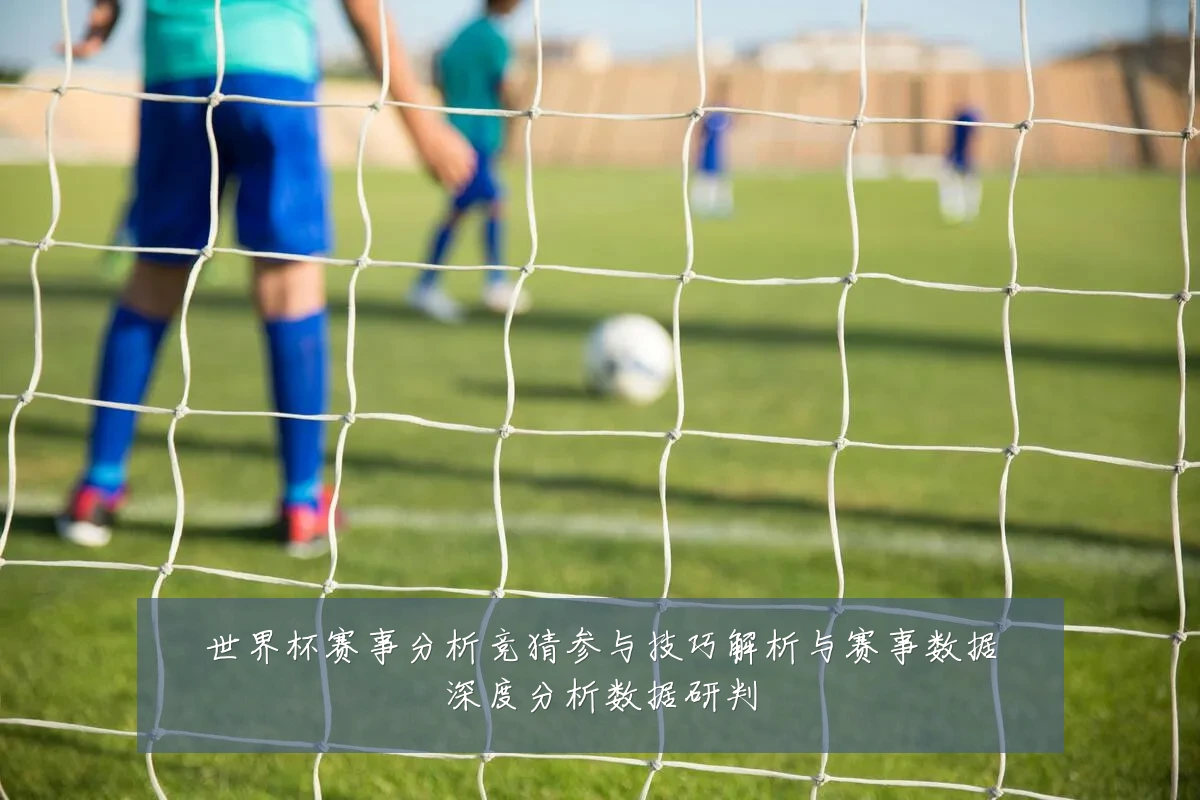 世界杯赛事分析竞猜参与技巧解析与赛事数据深度分析数据研判