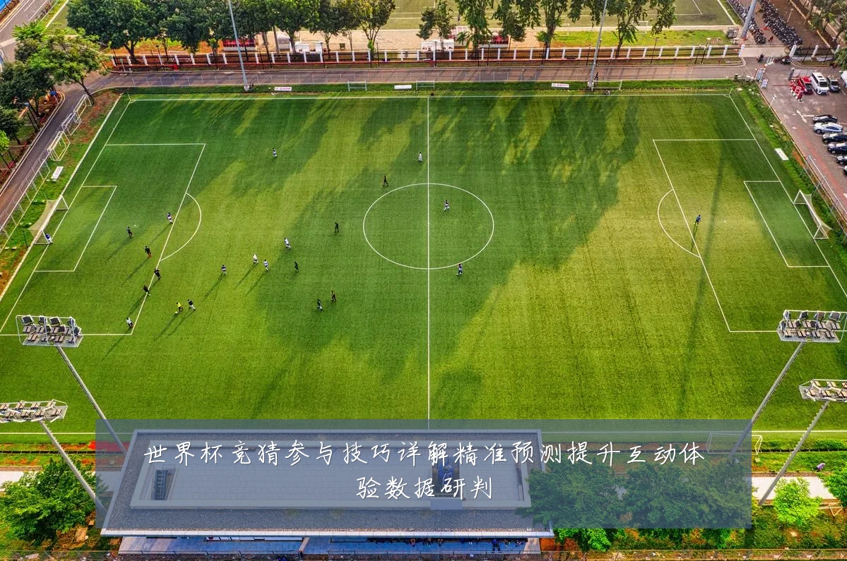 世界杯竞猜参与技巧详解精准预测提升互动体验数据研判
